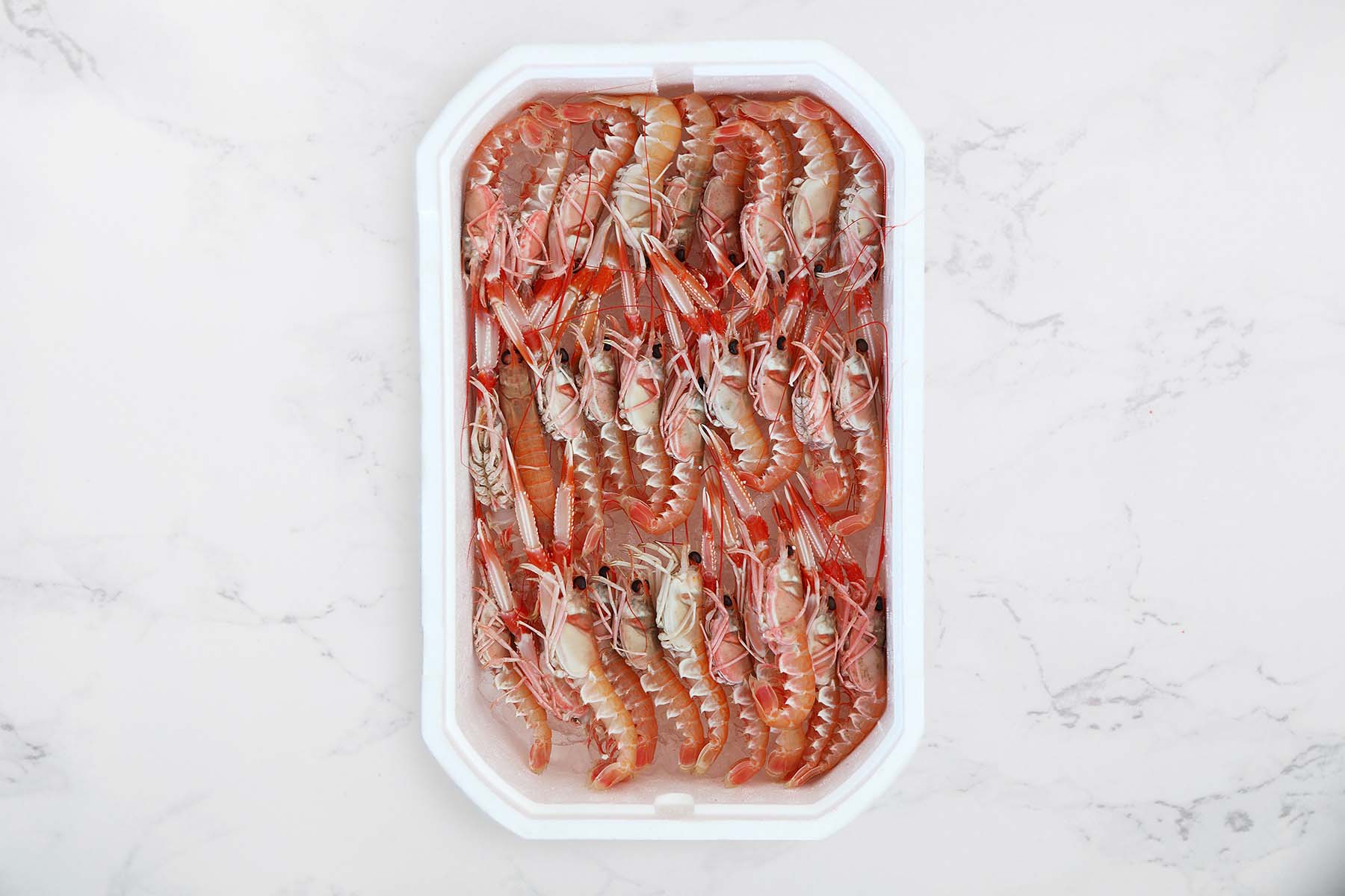 Escamarlà de Palamós