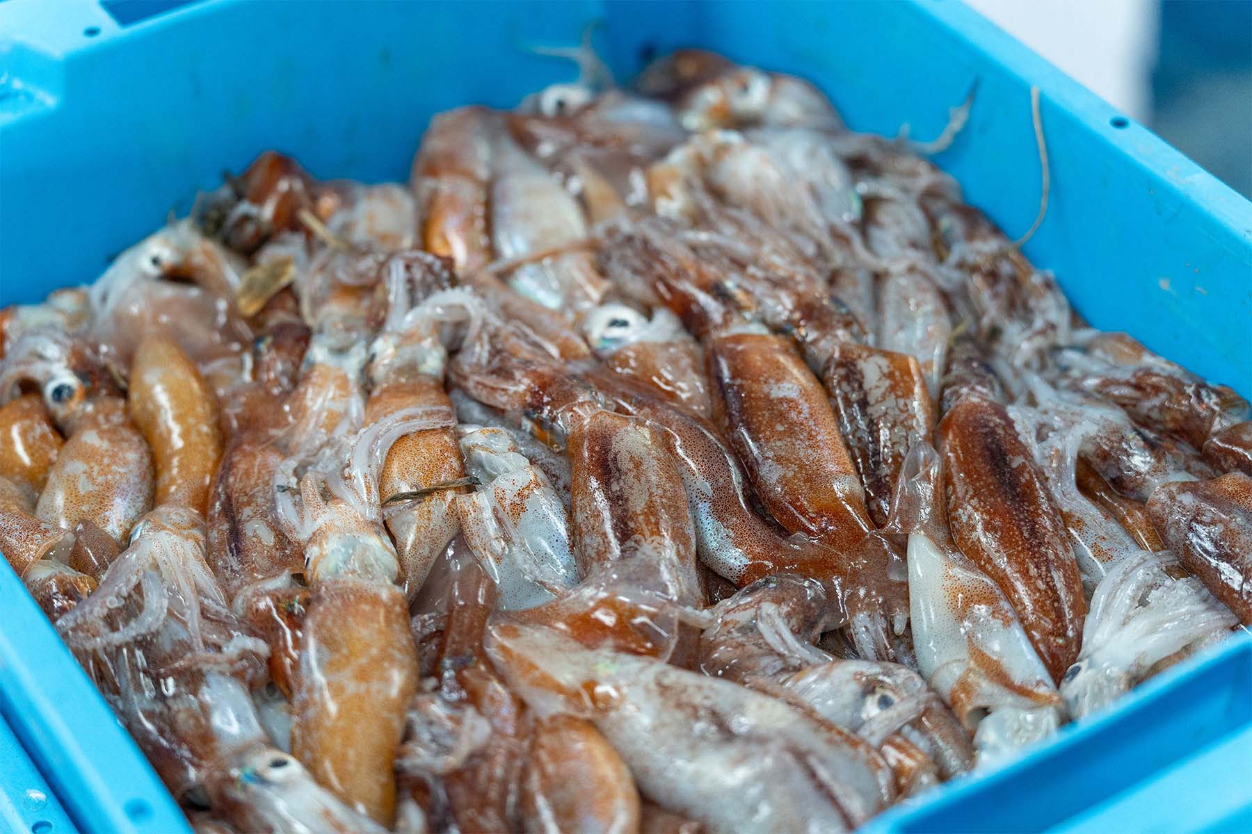 PACK ARRÒS LA JOIA DEL PORT - Imatge 4