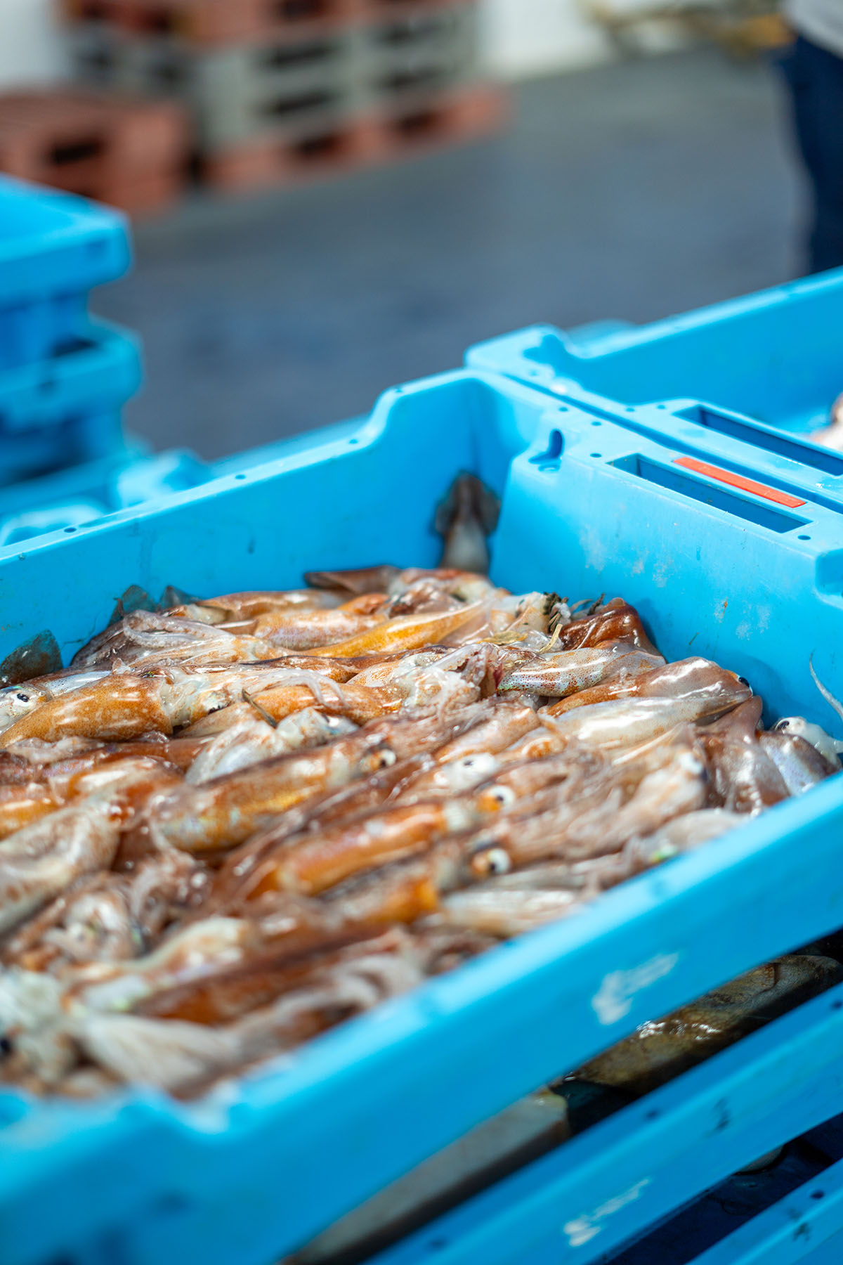 PACK ARRÒS LA JOIA DEL PORT - Imatge 3