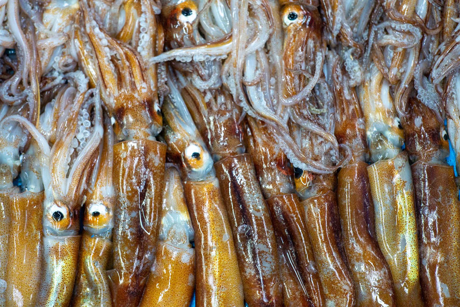 PACK ARRÒS LA JOIA DEL PORT - Imatge 7