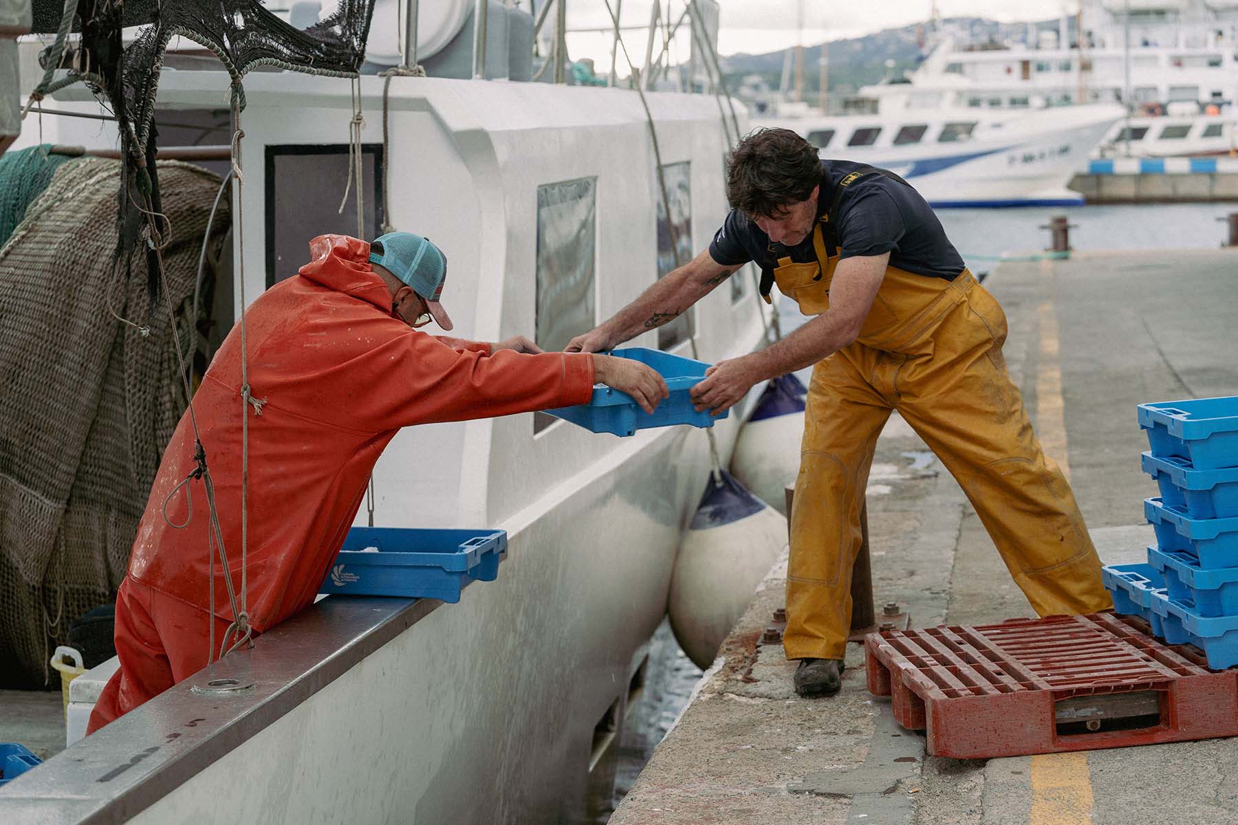 PEIX DE SOPA #dePalamós